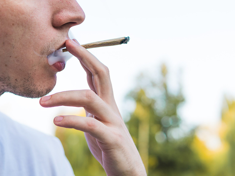 Taller de prevención sobre el consumo del cannabis - Loca Academia de Las Ciencias