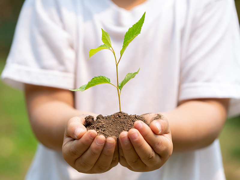 Talleres de concienciación medioambiental - Loca Academia de Las Ciencias