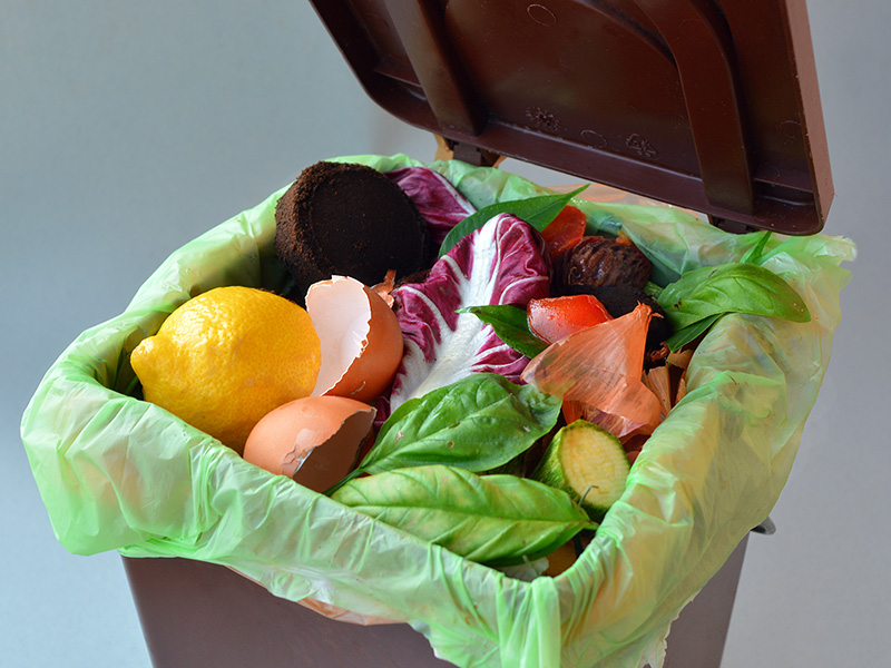 Talleres sobre Compost - Loca Academia de Las Ciencias - Programas de medioambiente