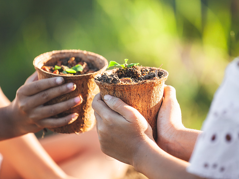 Talleres sobre ciclos y plantas - Loca Academia de Las Ciencias - Programas de medioambiente