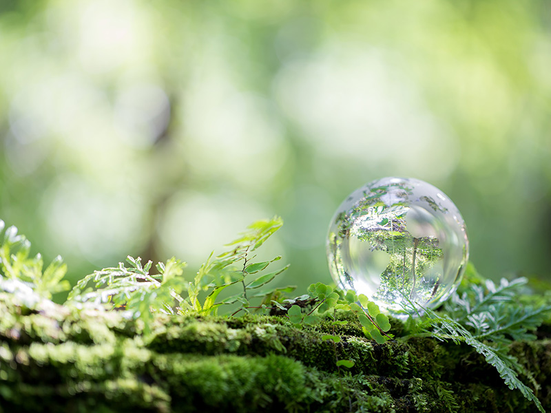 taller Cuida la tierra - Programas de medioambiente